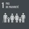 Goal 1: No poverty