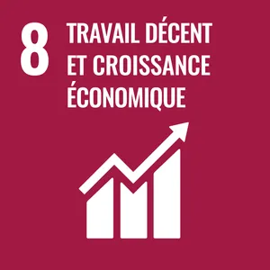 Goal 8: Decent work and economic growth