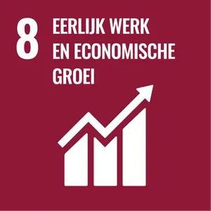 Goal 8: Decent work and economic growth