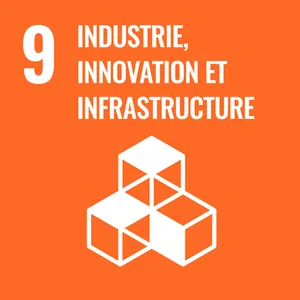 Goal 9: Industry, innovation and infrastructure
