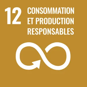 Goal 12: Responsible consumption and production