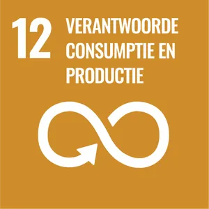 Goal 12: Responsible consumption and production