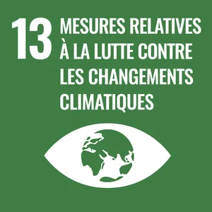 Goal 13: Climate action