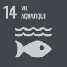 Goal 14: Life below water