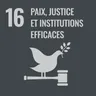 Goal 16: Peace, justice and strong institutions